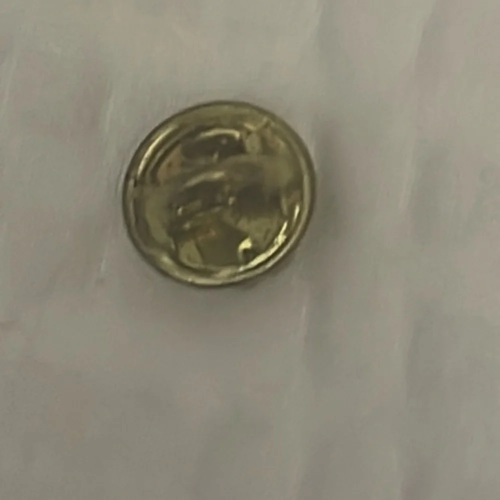 Boy Scouts Webelos Activity Pin- Readyman